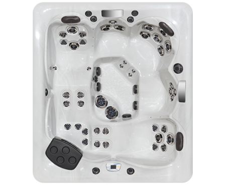 Спа бассейн Master Spas Twilight Series TS 87.3